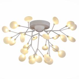 Avola SLE250102-27 Evoluce