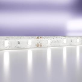 SMD2835 12V 7.2W/m 60LED/m IP65 6000K холодный белый свет 20006 Maytoni