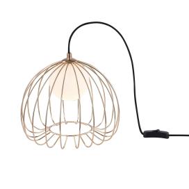 Polly MOD542TL-01G Maytoni