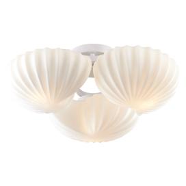 Conglia SL534.502.03 ST LUCE