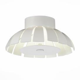 Corto SL559.503.01 ST LUCE