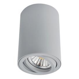 SENTRY A1560PL-1GY Arte Lamp