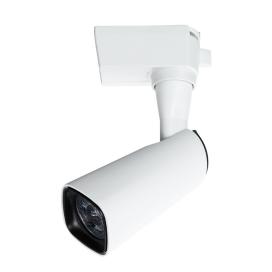 BARUT A4561PL-1WH Arte Lamp