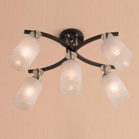 Фортуна CL156151 Citilux