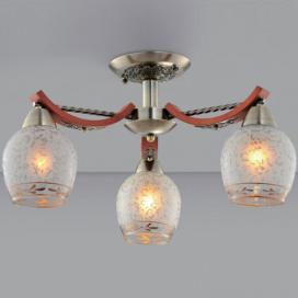 Вуди CL165133 Citilux