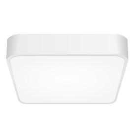 Купер CL724K24V0 Citilux