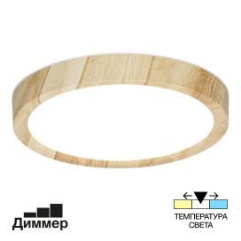 Бейсик CL738122N Citilux
