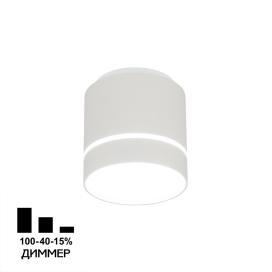 Борн CL745010N Citilux
