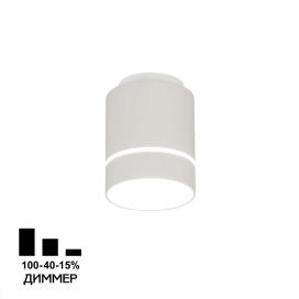 Борн CL745020N Citilux