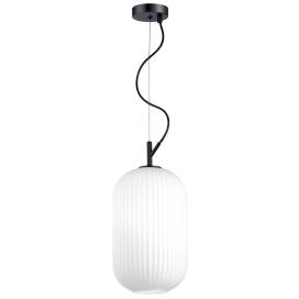 ROOFI 4751/1 Odeon Light