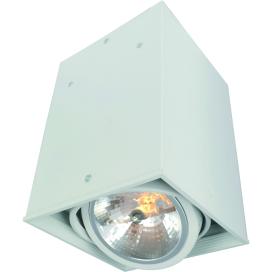 CARDANI A5936PL-1WH Arte Lamp